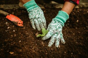 gardening tools for beginners in garden soil